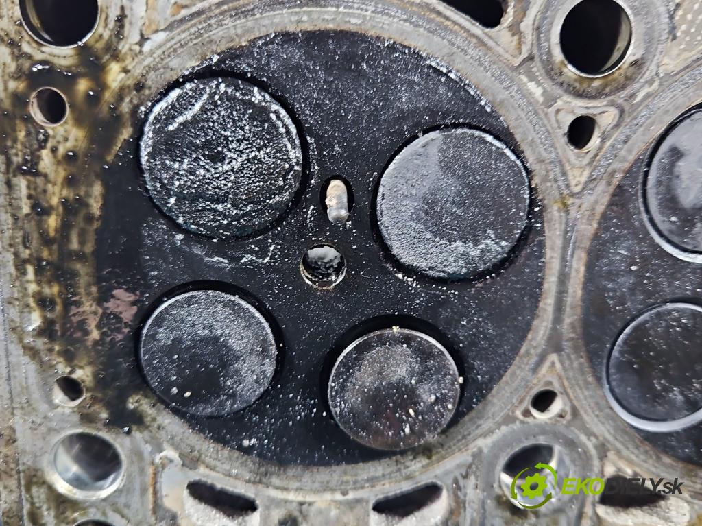 Skoda Fabia II 2007-2014 1.6 tdi CAYA 105 HP manual 77 kW 1598 cm3 5- Hlava: motora 03L103373A