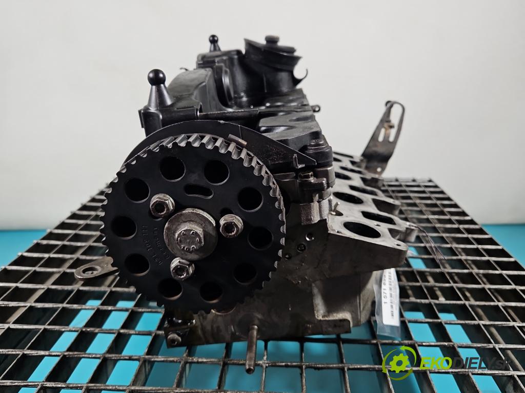 Skoda Fabia II 2007-2014 1.6 tdi CAYA 105 HP manual 77 kW 1598 cm3 5- Hlava: motora 03L103373A