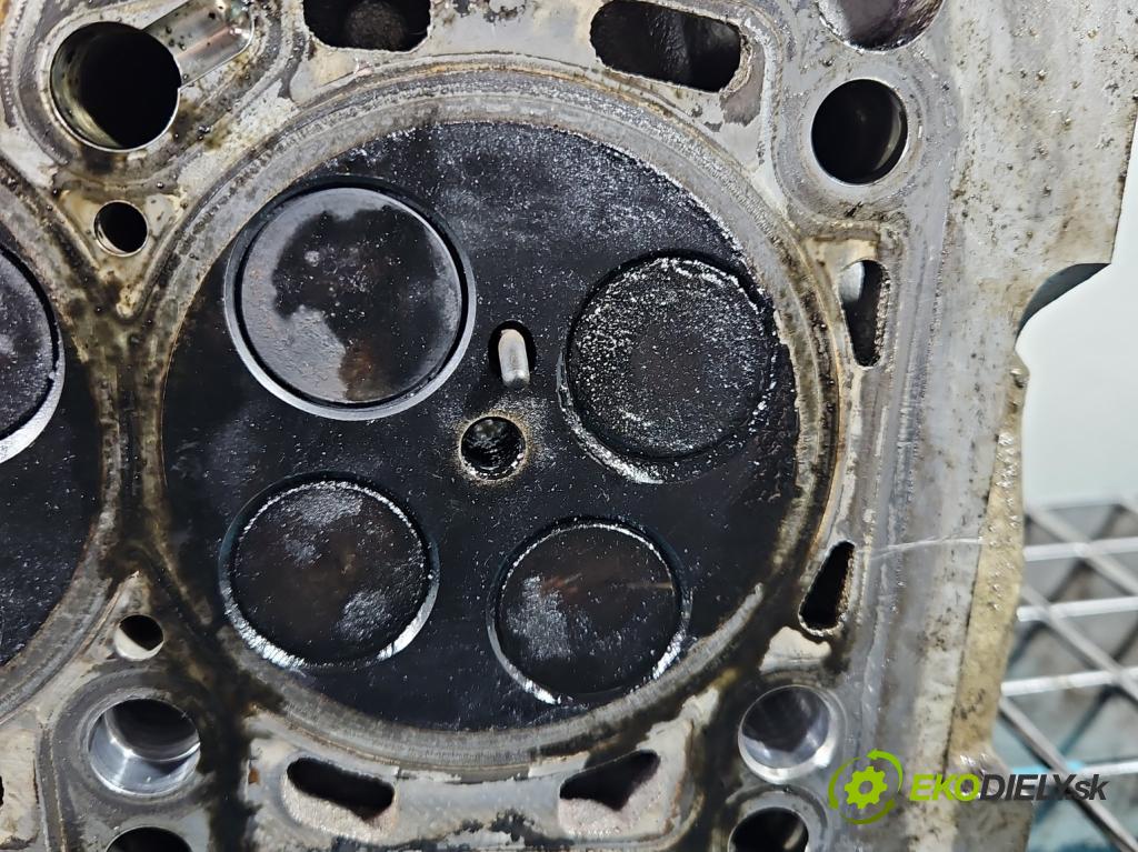 Skoda Fabia II 2007-2014 1.6 tdi CAYA 105 HP manual 77 kW 1598 cm3 5- Hlava: motora 03L103373A