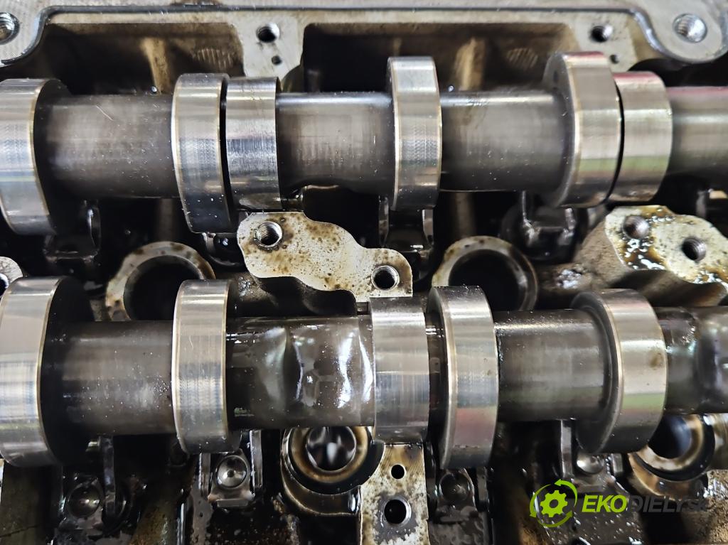 Skoda Fabia II 2007-2014 1.6 tdi CAYA 105 HP manual 77 kW 1598 cm3 5- Hlava: motora 03L103373A