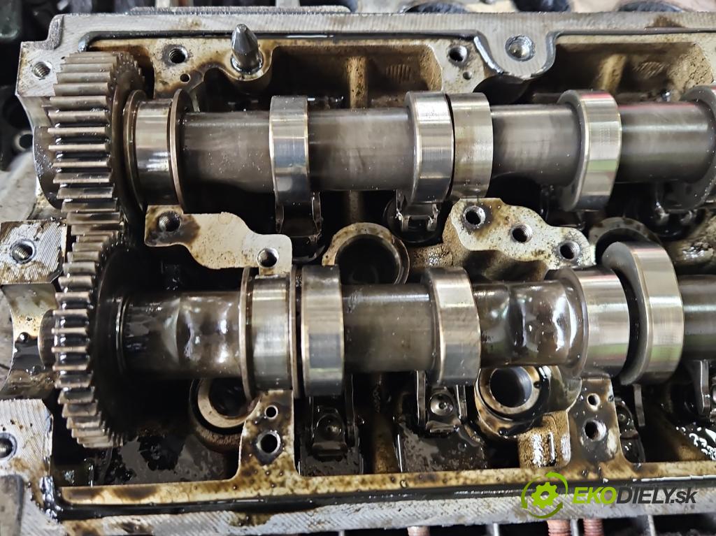 Skoda Fabia II 2007-2014 1.6 tdi CAYA 105 HP manual 77 kW 1598 cm3 5- Hlava: motora 03L103373A