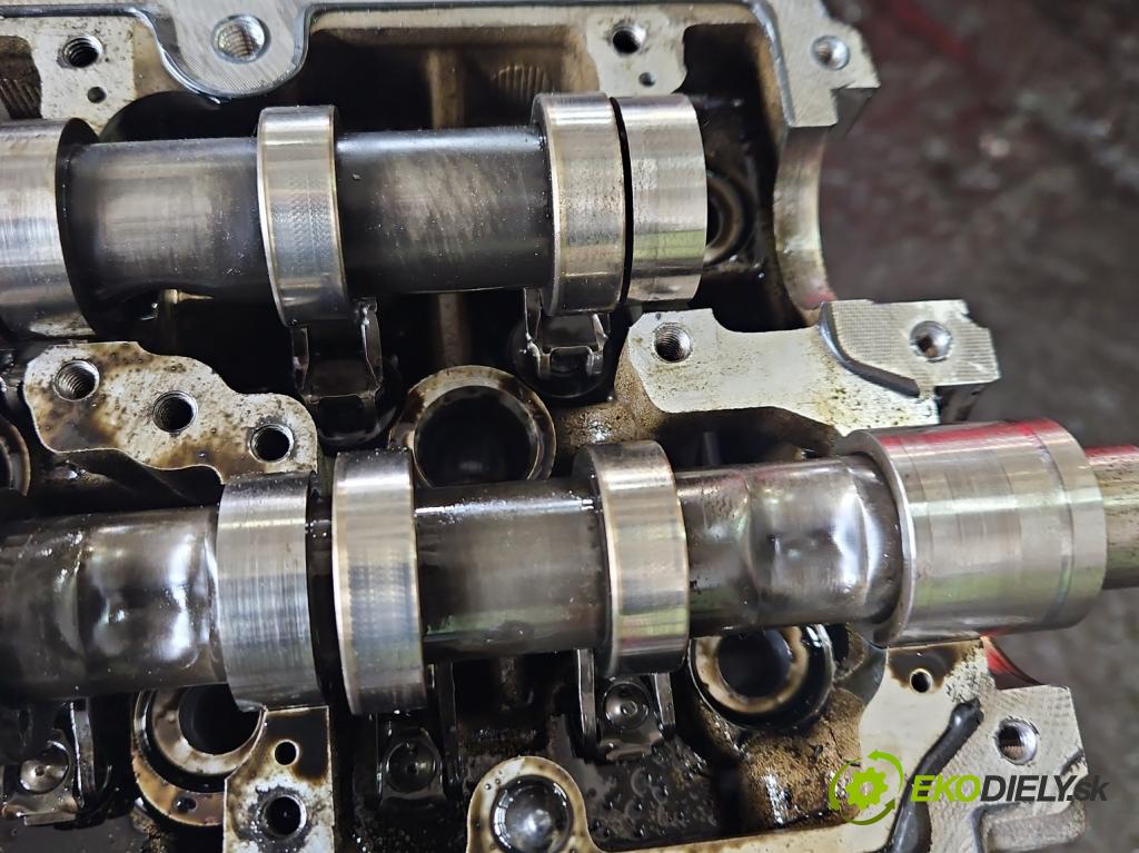 Skoda Fabia II 2007-2014 1.6 tdi CAYA 105 HP manual 77 kW 1598 cm3 5- Hlava: motora 03L103373A