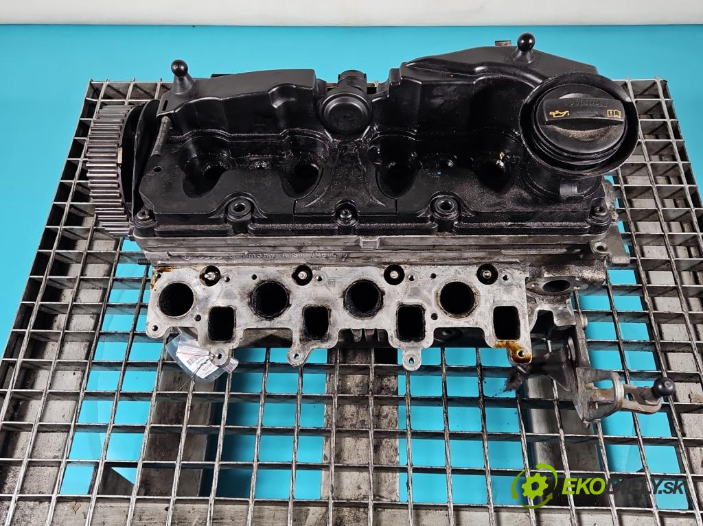 Skoda Fabia II 2007-2014 1.6 tdi CAYA 105 HP manual 77 kW 1598 cm3 5- Hlava: motora 03L103373A
