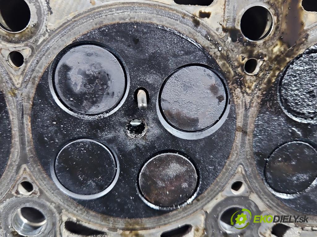 Skoda Fabia II 2007-2014 1.6 tdi CAYA 105 HP manual 77 kW 1598 cm3 5- Hlava: motora 03L103373A