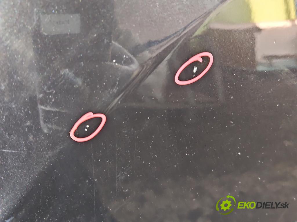 Renault Megane III 2008-2016 2.0 Tce 179KM manual 132 kW 1998 cm3 5- kapota predná