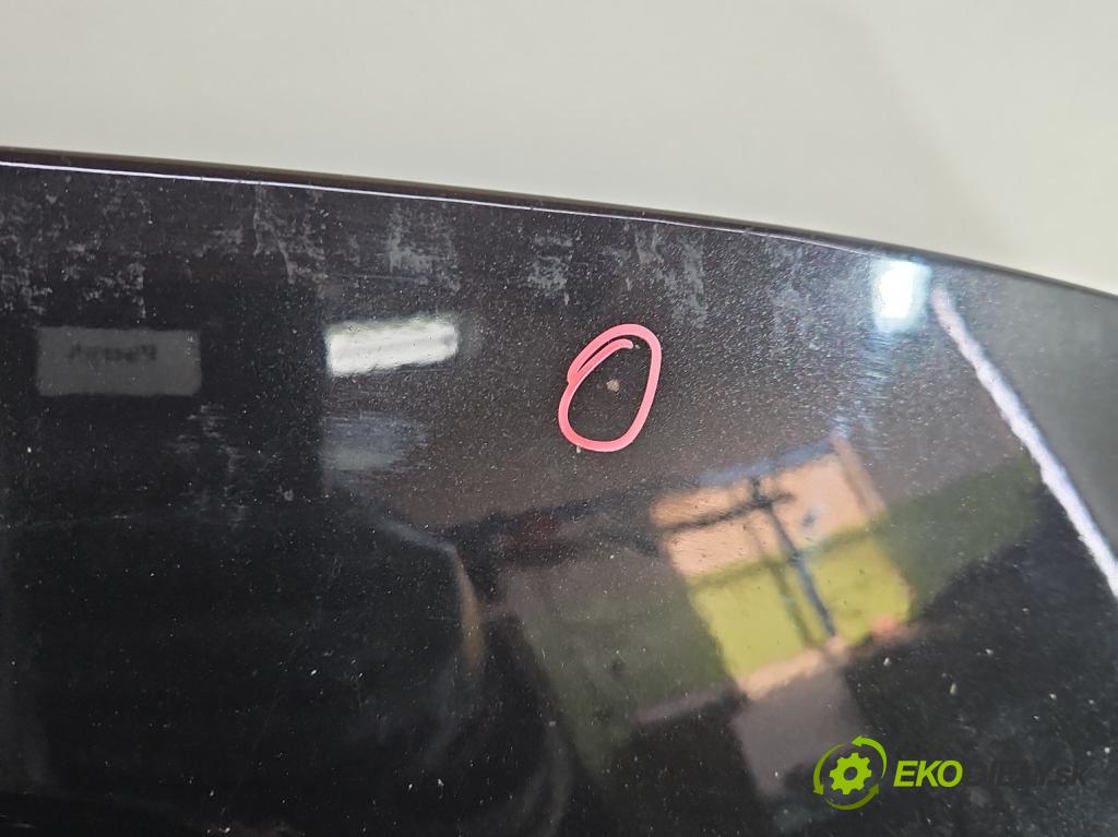 Renault Megane III 2008-2016 2.0 Tce 179KM manual 132 kW 1998 cm3 5- kapota predná