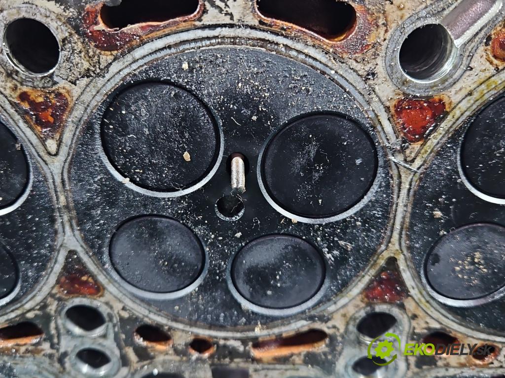 Audi A4 B7 2004-2008 3.0 tdi BKN: 204 hp automatic 150 kW 2967 cm3 5- hlava motoru 0594AB