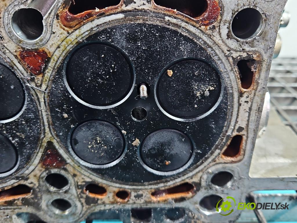 Audi A4 B7 2004-2008 3.0 tdi BKN: 204 hp automatic 150 kW 2967 cm3 5- hlava motoru 0594AB