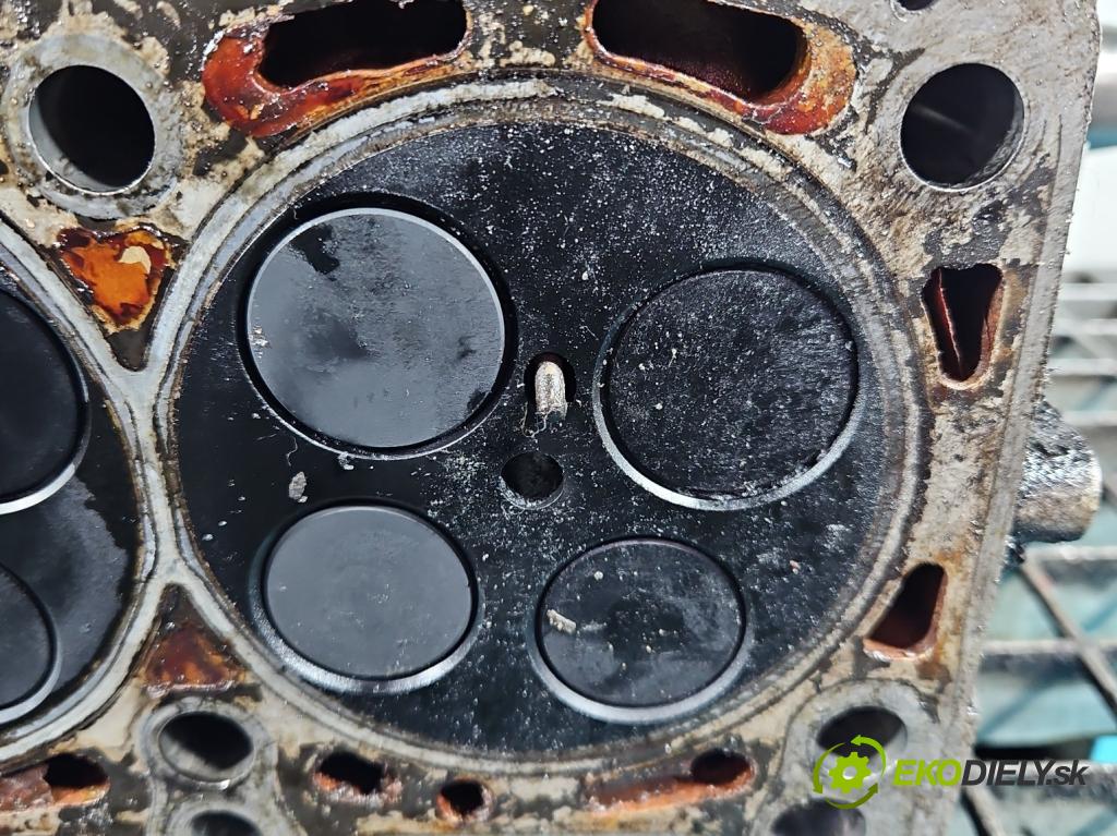 Audi A4 B7 2004-2008 3.0 tdi BKN: 204 HP automatic 150 kW 2967 cm3 5- Hlava: motora 0593AF