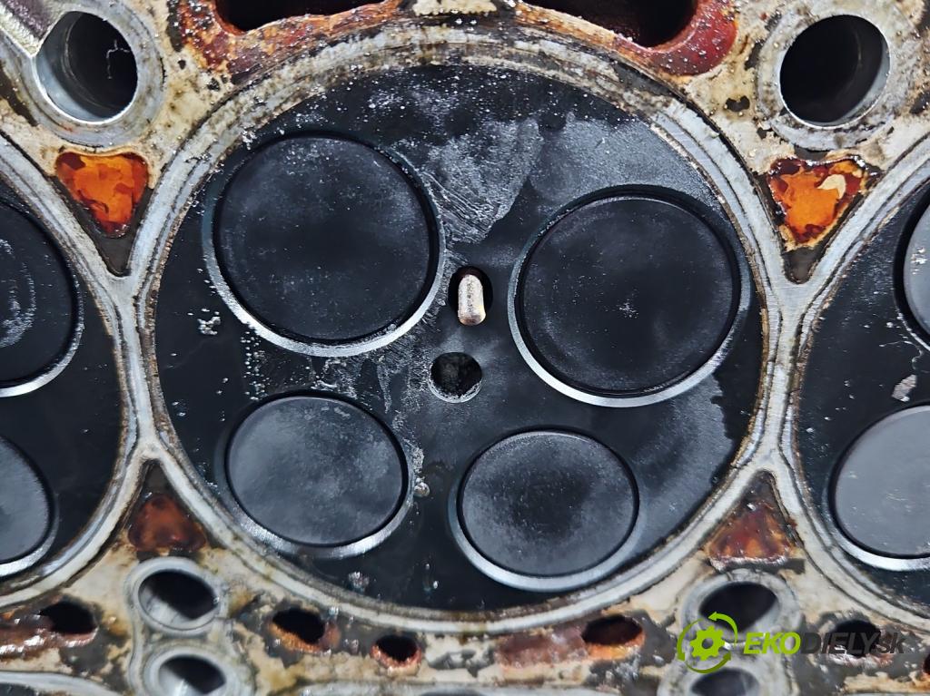 Audi A4 B7 2004-2008 3.0 tdi BKN: 204 HP automatic 150 kW 2967 cm3 5- Hlava: motora 0593AF