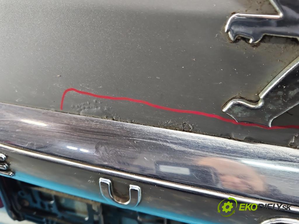 Peugeot 407 2.0 hdi 136 HP manual 100 kW 1997 cm3 5- zadna kufor  (Kapota zadná (kufor))