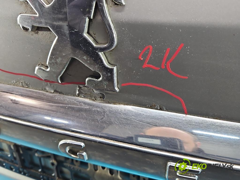 Peugeot 407 2.0 hdi 136 HP manual 100 kW 1997 cm3 5- zadna kufor  (Kapota zadná (kufor))