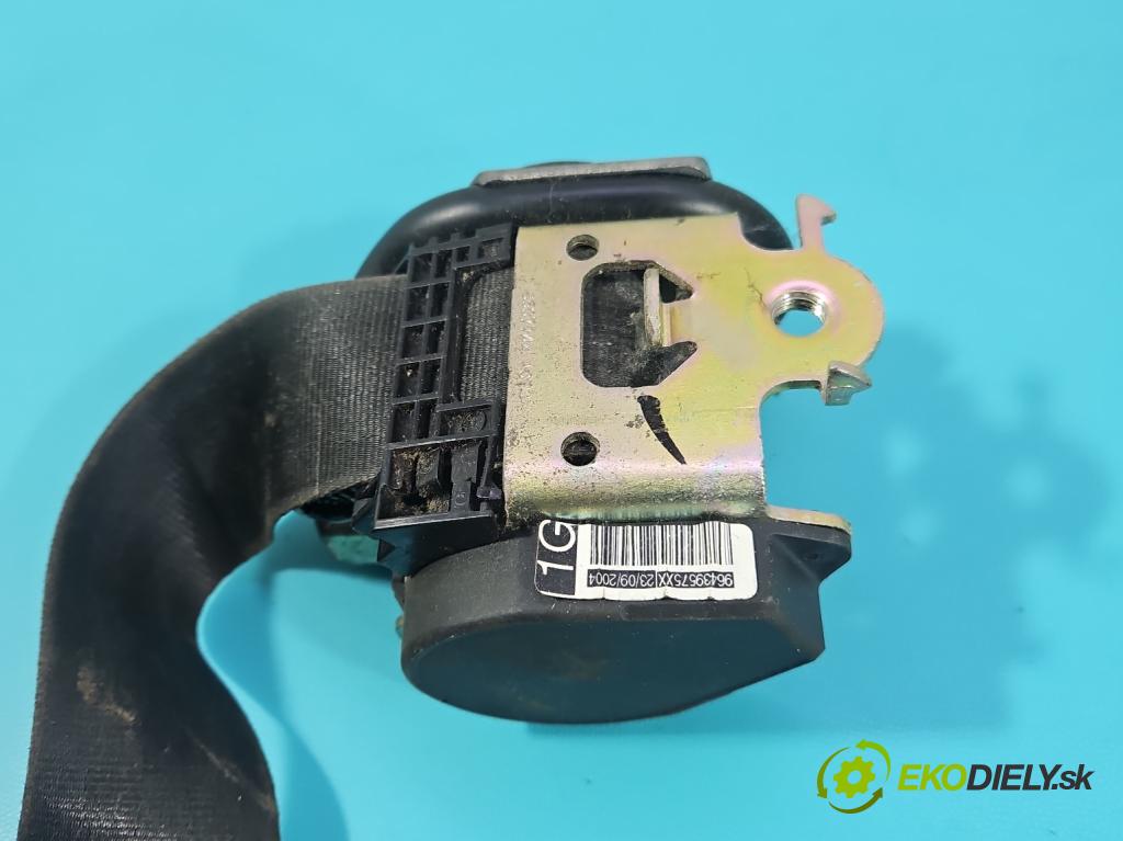 Peugeot 407 2.0 hdi 136 HP manual 100 kW 1997 cm3 5- pas bezpečnosť: predné ľavý 96439575XX