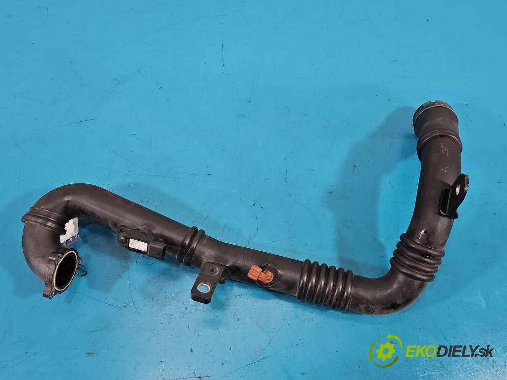 Renault Megane III 2008-2016 2.0 Tce 179KM manual 132 kW 1998 cm3 5- Trubka: 8200867949