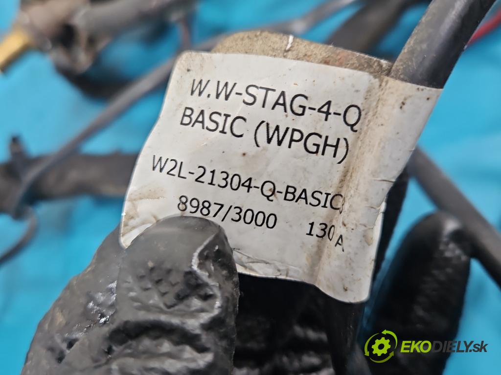 Ford Galaxy Mk1 1995-2006 2.3 16V 145 hp manual 107 kW 2295 cm3 5- instalace LPG