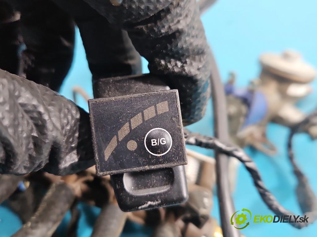 Ford Galaxy Mk1 1995-2006 2.3 16V 145 hp manual 107 kW 2295 cm3 5- instalace LPG