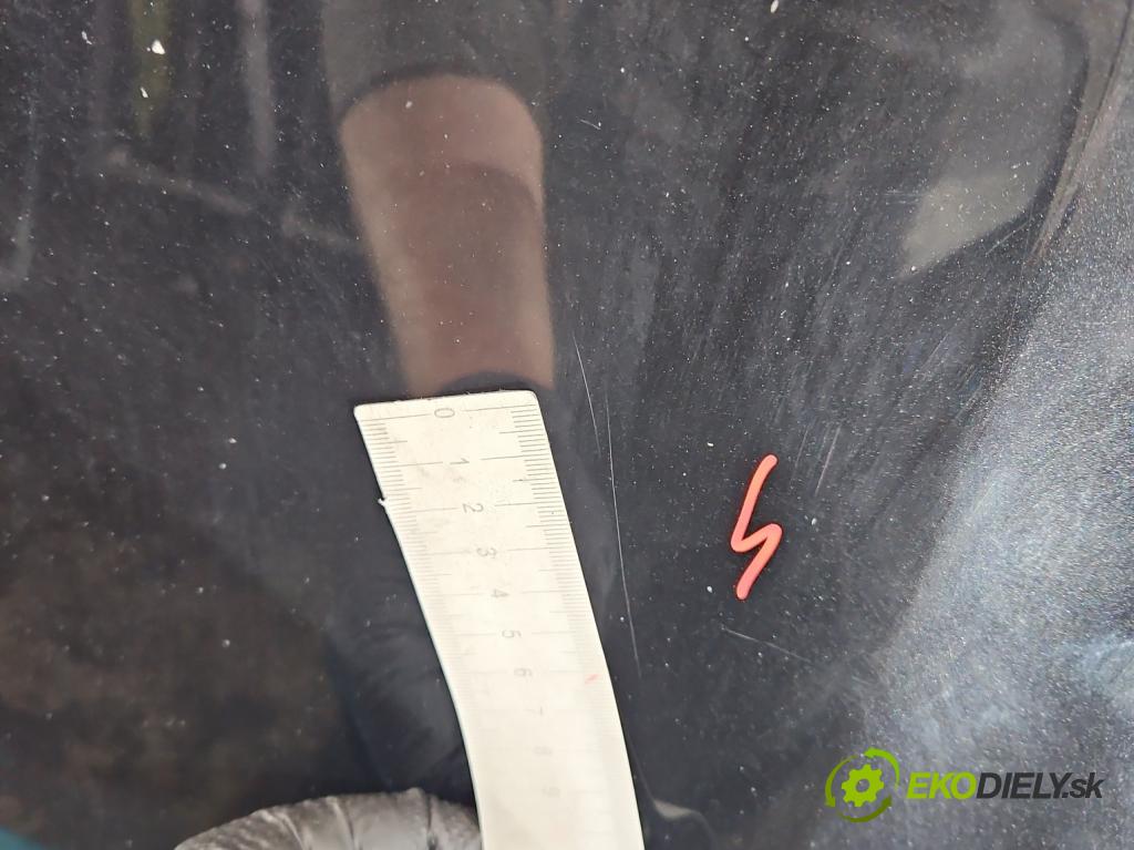 Audi A4 B6 2000-2004 1.9 tdi 131 HP manual 96 kW 1896 cm3 4- kapota predná