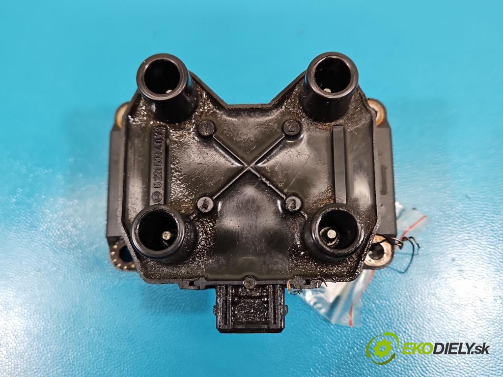 Polonez Truck 1.6 8V 87 HP manual 64 kW 1598 cm3 5- cievka zapaľovacia 0221503407 (Zapaľovacia cievka)