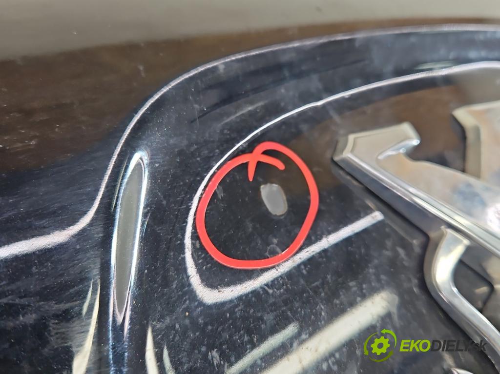 Peugeot 508 I 2010-2018 2.0 hdi 150 HP manual 110 kW 1997 cm3 5- kapota predná