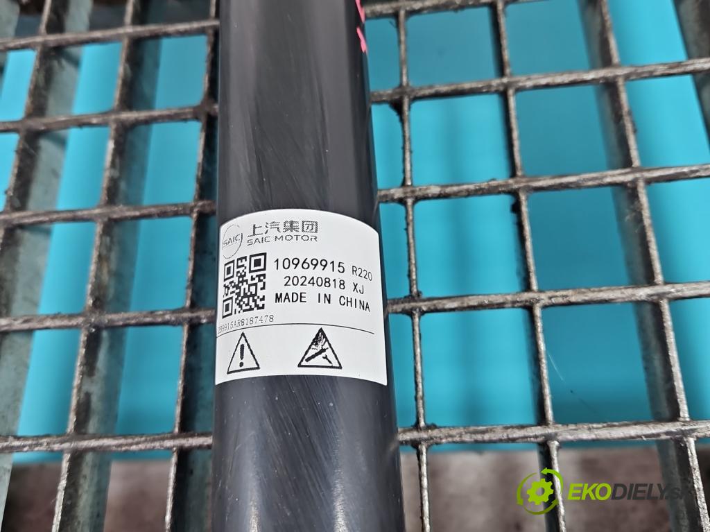 MG MG3  24- 1.5 16V 116 HP manual 85 kW 1495 cm3 5- tlmič zadné ľavý 10969915 (Kľučka dverí ostatné)