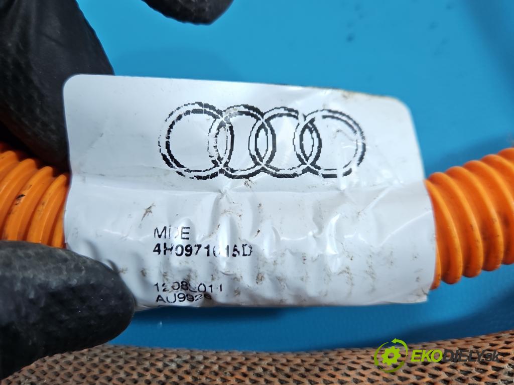 Audi A8 D4 2009-2017 2.0 TFSI 211KM automatic 155 kW 1984 cm3 4- Zväzok: ostatné 4H0971015D