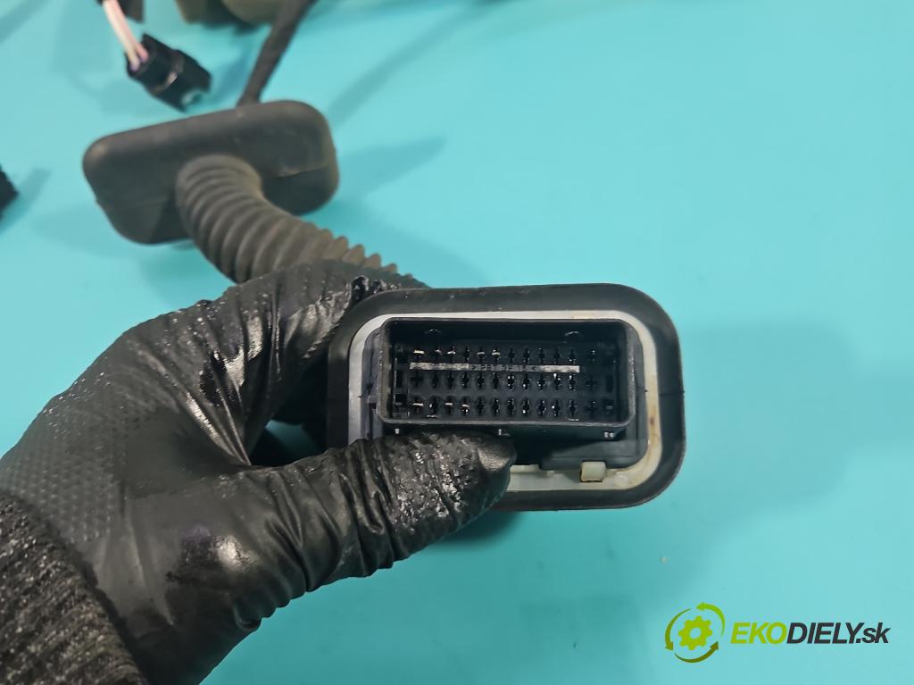 Dacia Dokker 2012- 1.5 dci 95 HP manual 70 kW 1461 cm3 5- Zväzok: dvere predné vľavo: 241243789R