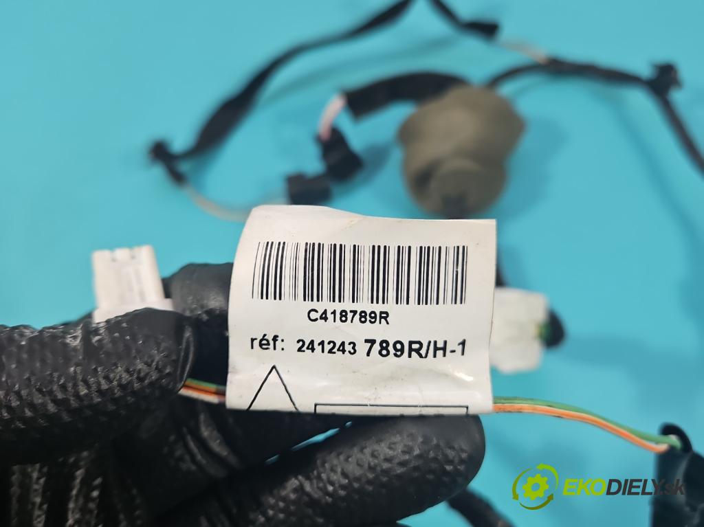 Dacia Dokker 2012- 1.5 dci 95 HP manual 70 kW 1461 cm3 5- Zväzok: dvere predné vľavo: 241243789R