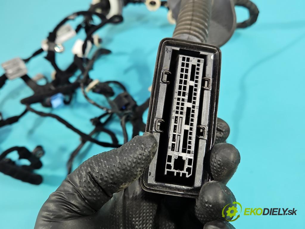 Jaguar F-Pace 16- 2.0d 241KM automatic 177 kW 1999 cm3 5- Zväzok: dvere predné vľavo: JK83-14631-AKB