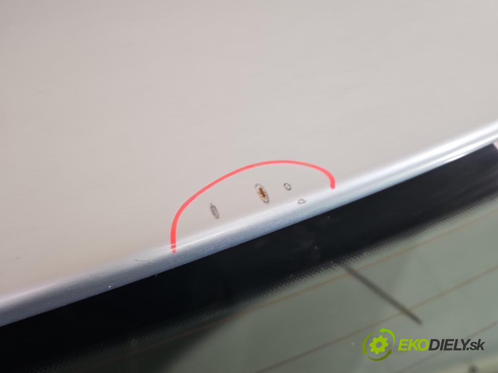 Vw Passat B6 2005-2010 2.0 TFSI 200 HP automatic 147 kW 1984 cm3 5- zadna kufor  (Kapota zadná (kufor))