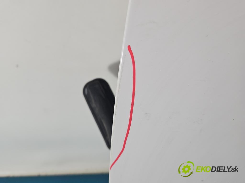 Vw Golf VI 2008-2013 1.6 tdi 105 HP manual 77 kW 1598 cm3 5- dvere predné ľavé  (Kľučka dverí ostatné)