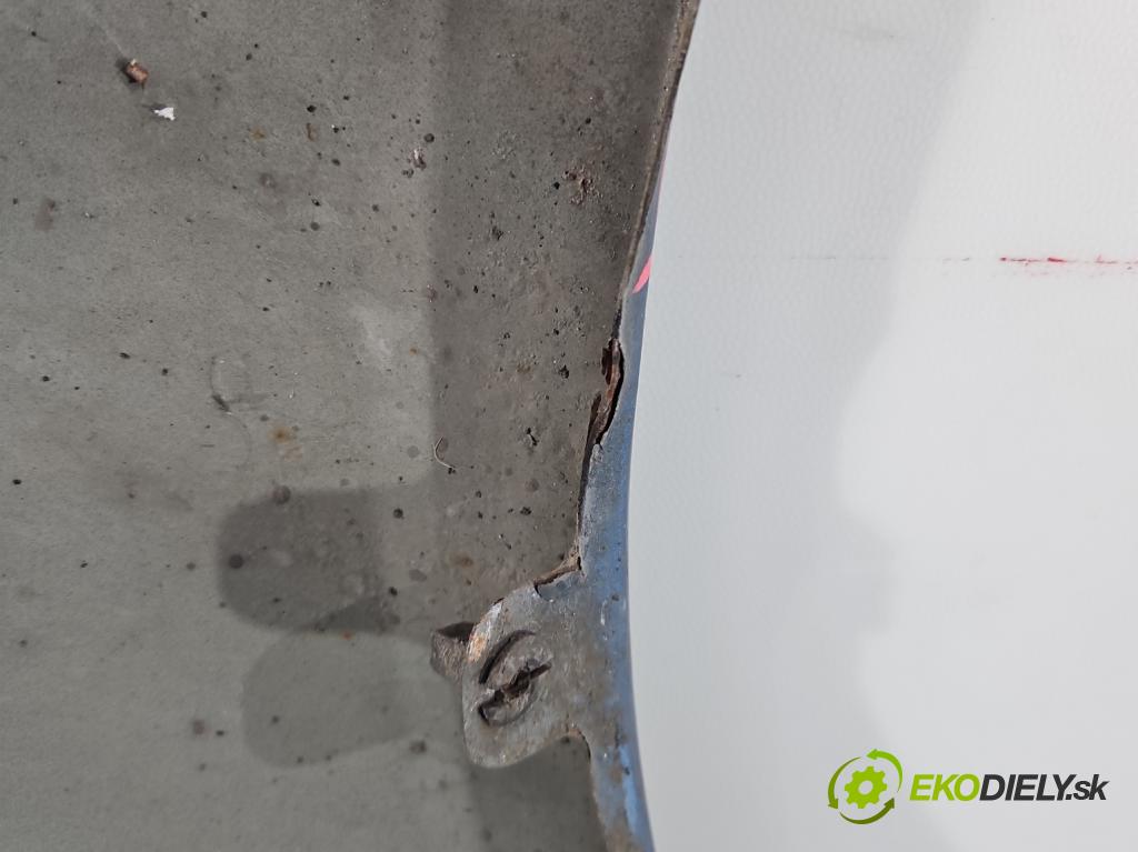 Vw Touran I 2003-2015 2.0 tdi 140 HP manual 103 kW 1968 cm3 5- blatník predné ľavý  (Blatník predný ľavý)