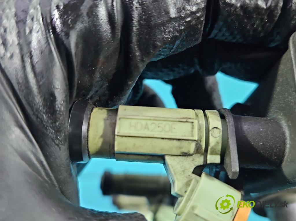 Mitsubishi Outlander I 2003-2006 2.0 16V 136 HP manual 100 kW 1997 cm3 5- vstrek HDA250E (Vstrekovač paliva)