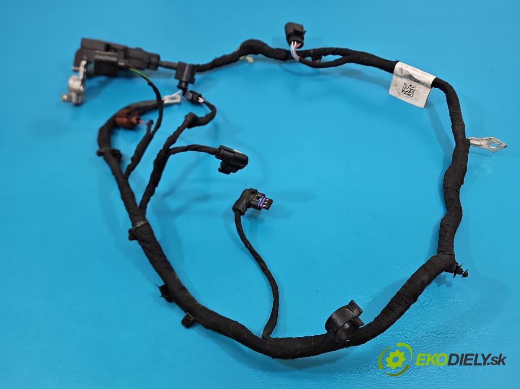 Skoda Octavia IV 2019- 2.0 tdi 116 HP manual 85 kW 1968 cm3 5- kontakt plusová 5WA971230FL