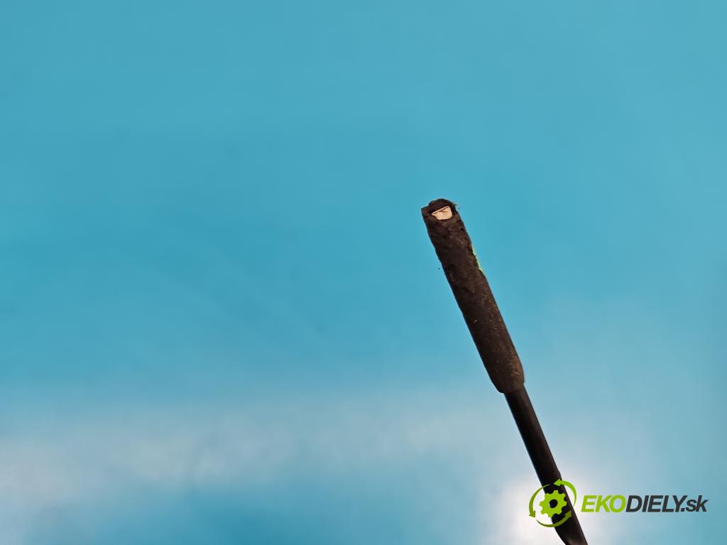 Hyundai I20 I 2008-2014 1.2 16V 78 HP manual 57.2 kW 1248 cm3 5- Antena