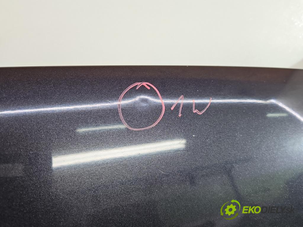 Audi A6 C6 2004-2011 2.0 tdi 140 HP manual 103 kW 1968 cm3 4- kapota predná