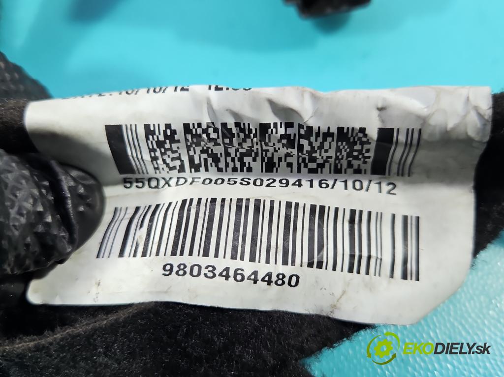 Citroen DS4 2011-2015 2.0 hdi RH02 163 HP manual 120 kW 1997 cm3 5- Zväzok: dvere predné vľavo: 9803464480
