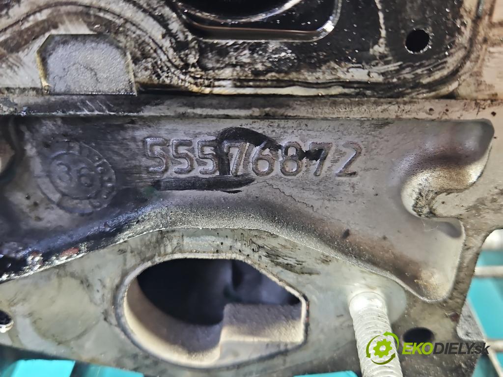 Opel Astra IV 2009-2015 1.7 cdti 110 HP manual 81 kW 1686 cm3 5- Hlava: motora A17DTE
