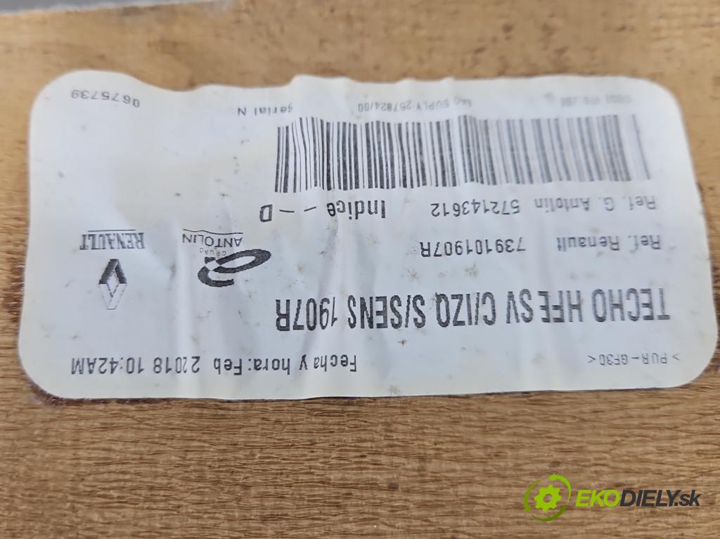 Renault Kadjar 2015-2022 Znečištěný: