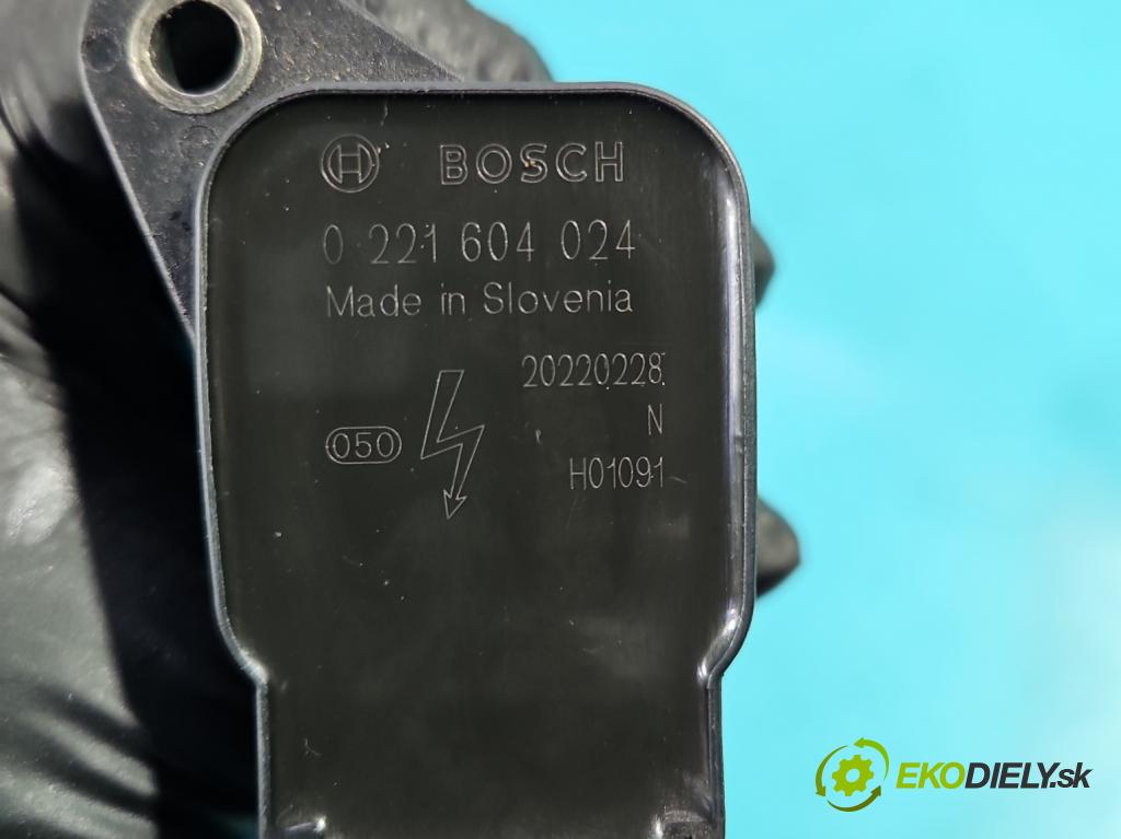 Ford Mondeo Mk4 2007-2014 2.0 EcoBoost: 203KM automatic 149 kW 1999 cm3 5- cievka zapaľovacia 0221604024 (Zapaľovacia cievka)