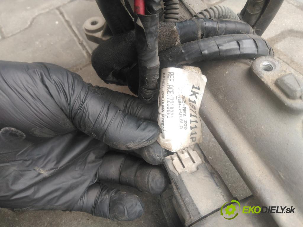 Vw Jetta V 2005-2010 1.9 tdi 105 HP manual 77 kW 1896 cm3 4- Ozubené kolo: volant 1K1423051CG