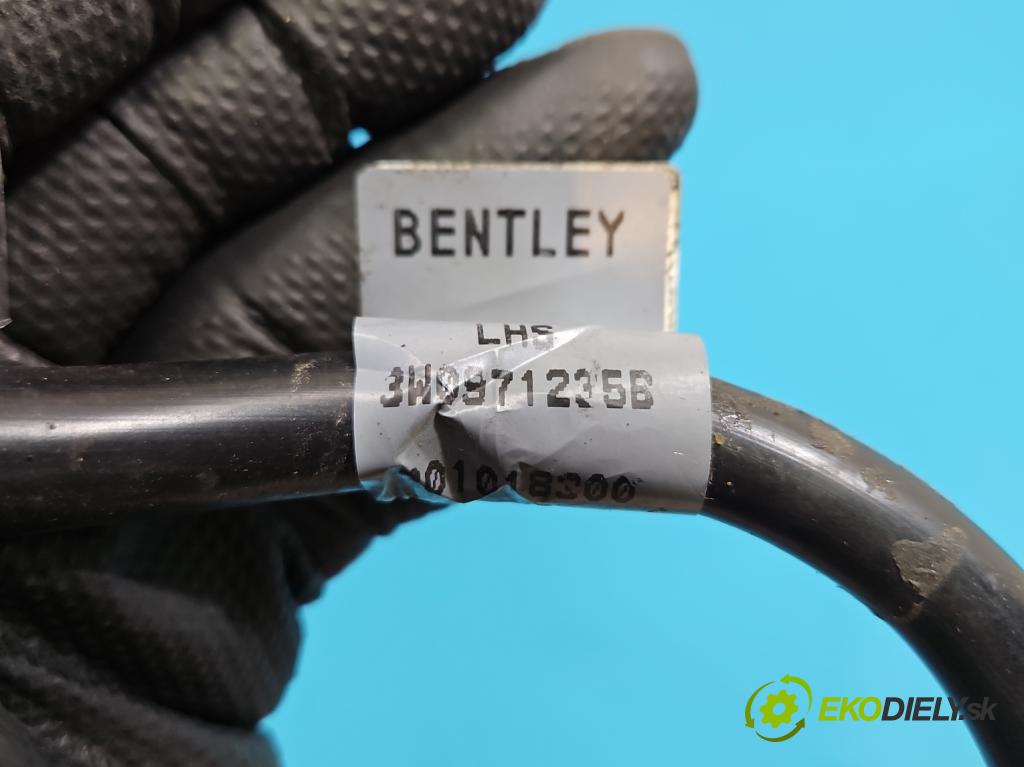 Bentley Continental I 2005-2013 6.0 V12 automatic 411 kW 5998 cm3 4- kontakt mínus: 3W0971235B