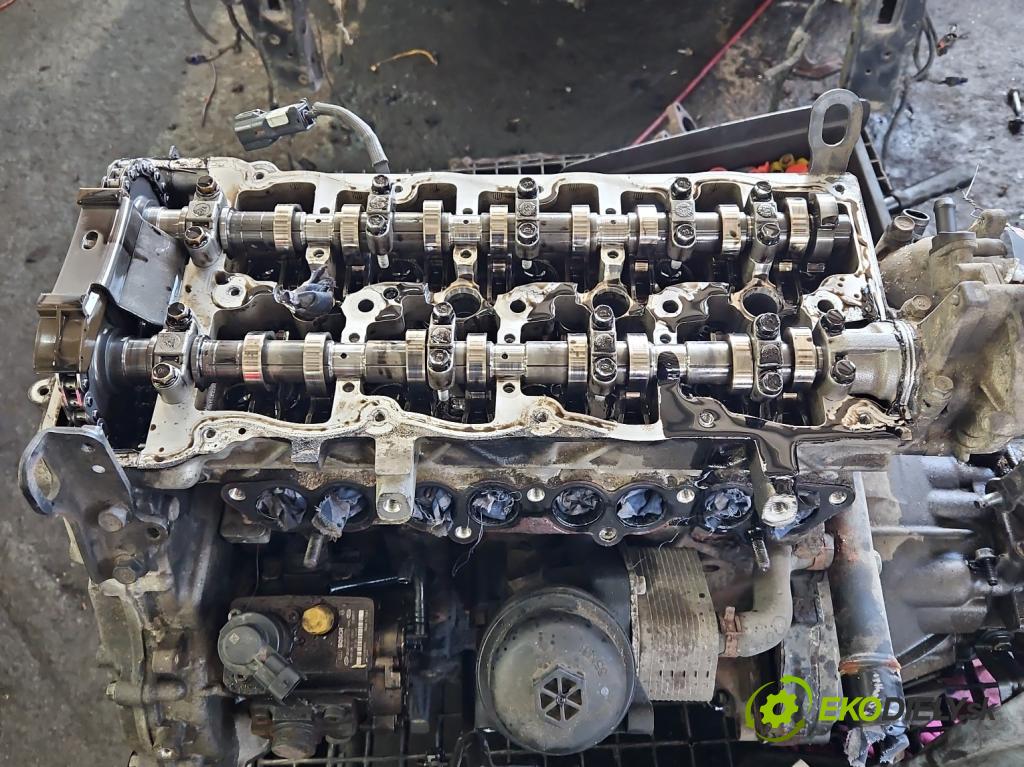 Kia Venga 1.6 crdi 116 HP manual 85 kW 1582 cm3 5- motor diesla D4FB
