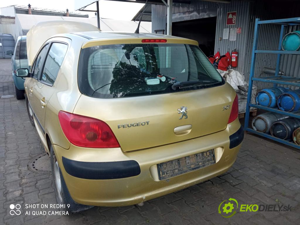Peugeot 307 1.6 16V 109 hp manual 80 kW 1587 cm3 5- sklo zadní  (Zadní sklo)