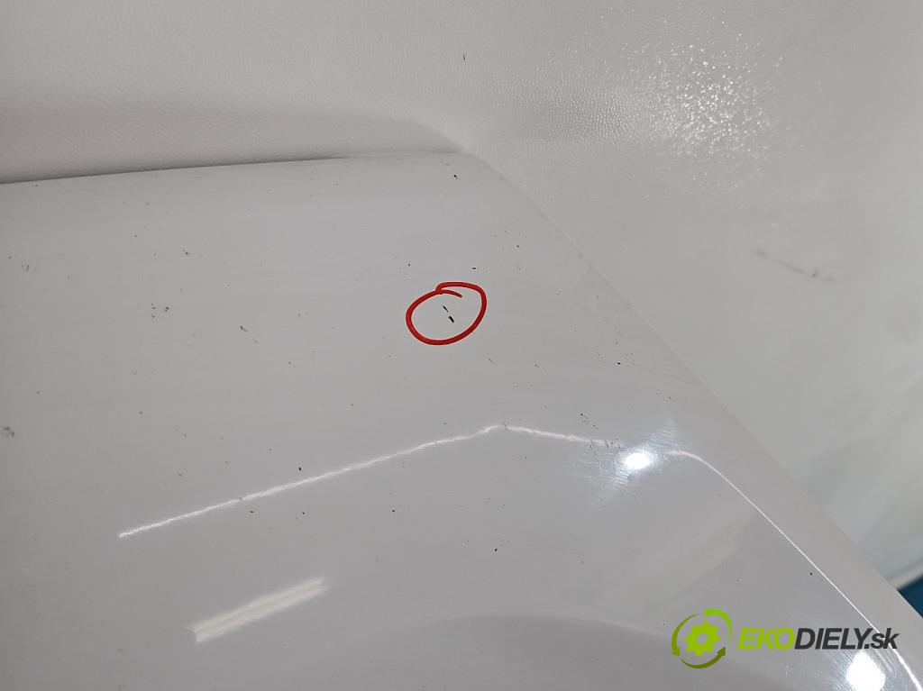 Fiat Doblo II 2010- 1.3 jtd 75 HP manual 55 kW 1248 cm3 5- kapota predná