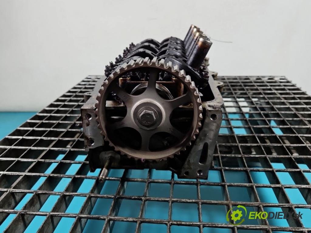 Renault Clio III 2005-2012 1.2 TCE: 101 hp manual 74 kW 1149 cm3 5- hlava motoru D4F