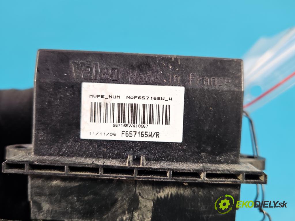 Renault Megane II 2003-2008 2.0 dci 150 HP manual 110 kW 1995 cm3 5- rezistor F657165WR