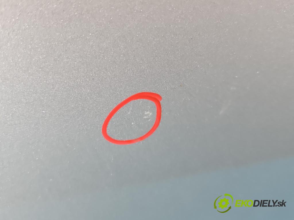 Fiat Linea 1.4 8v 77 HP manual 57 kW 1368 cm3 4- dvere zadné ľavé  (Kľučka dverí ostatné)