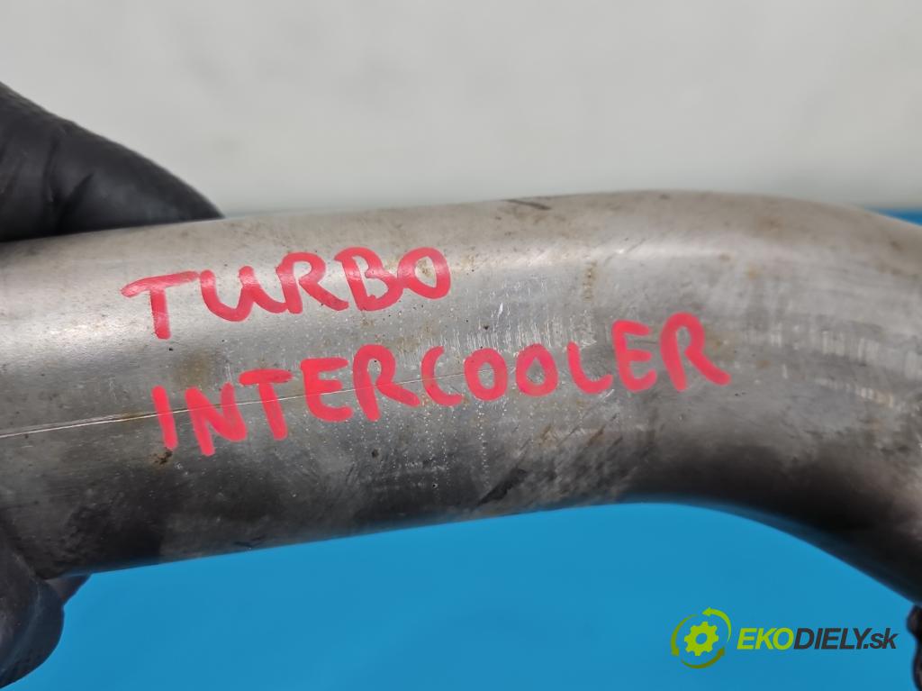 Renault Megane II 2003-2008 2.0 dci 150 HP manual 110 kW 1995 cm3 5- Trubka: