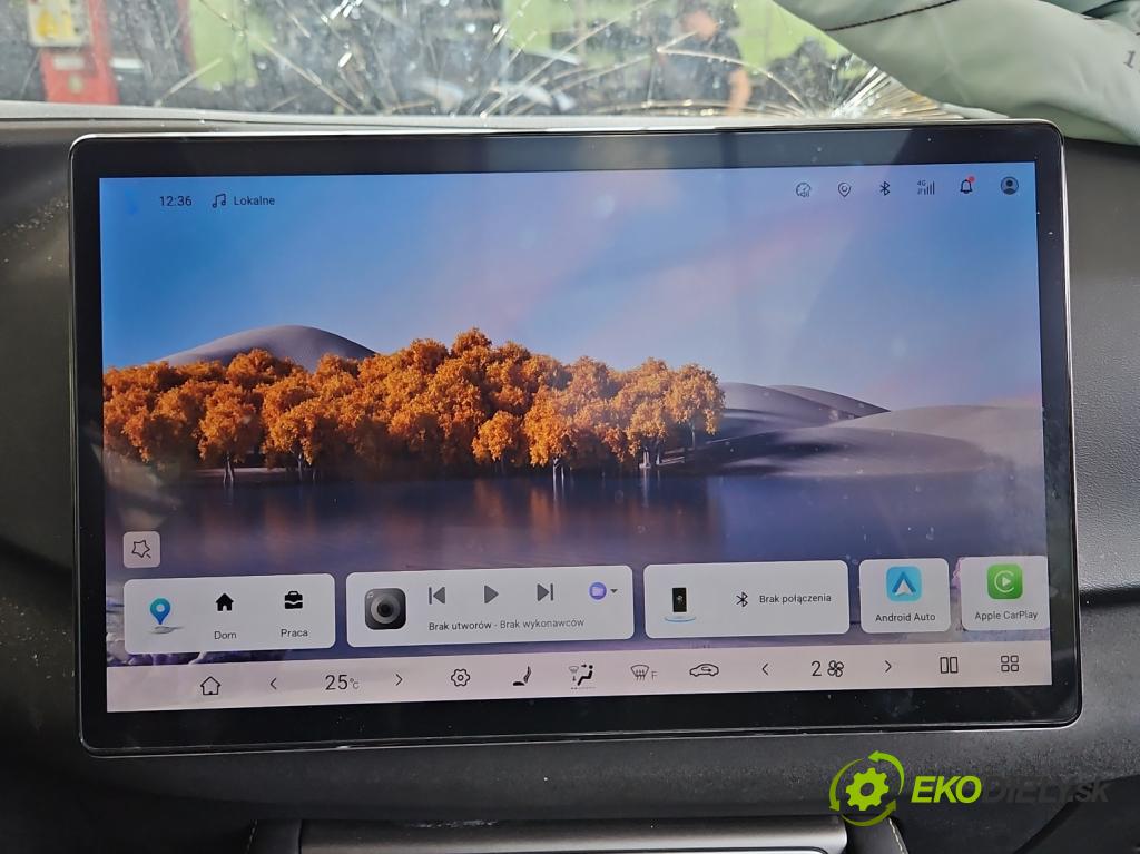 BYD ATTO 2  0.0 177 HP automatic 130 kW  5- Zobrazit: 7924100AA (Prístrojová doska)