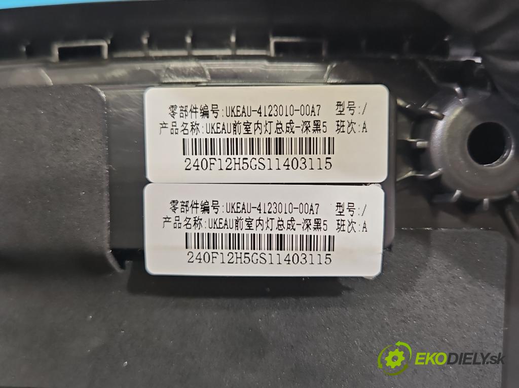 BYD ATTO 2  0.0 177 HP automatic 130 kW  5- svetlo / reflektor interiéra 4123010-00A7